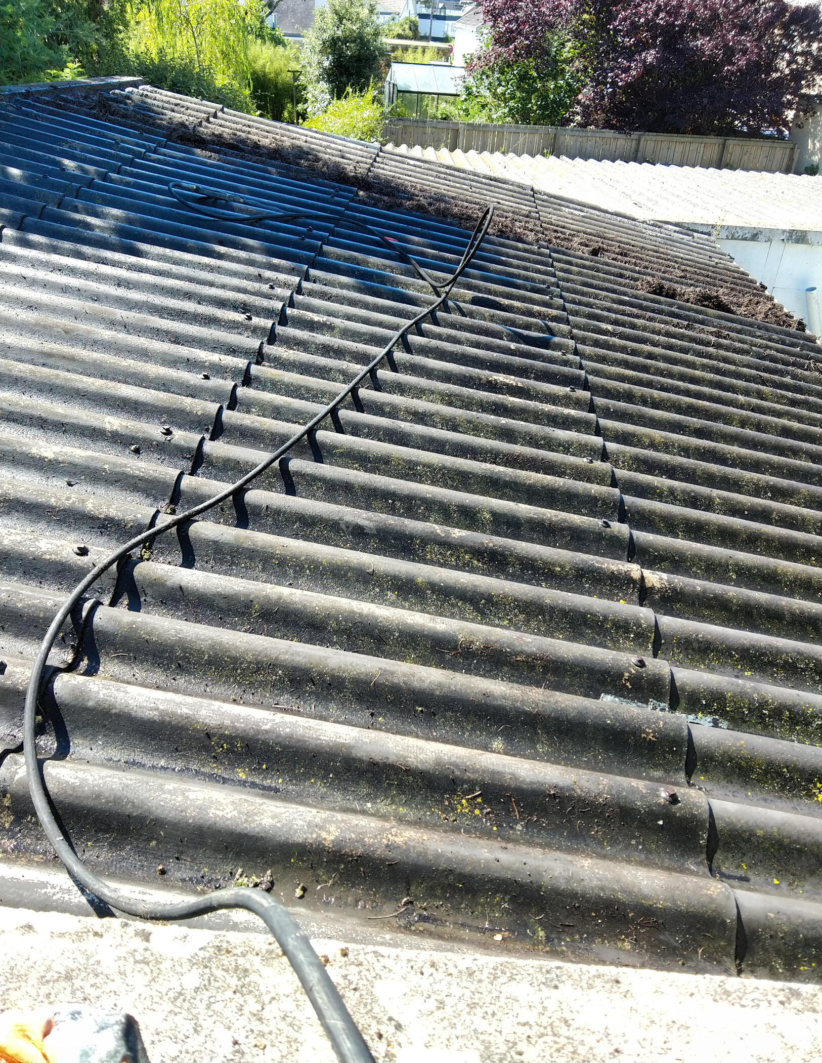 Roof cleaning